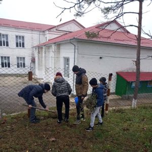 Озеленение родного края
