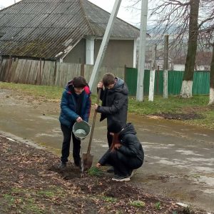 Озеленение родного края