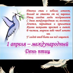 Международный день птиц